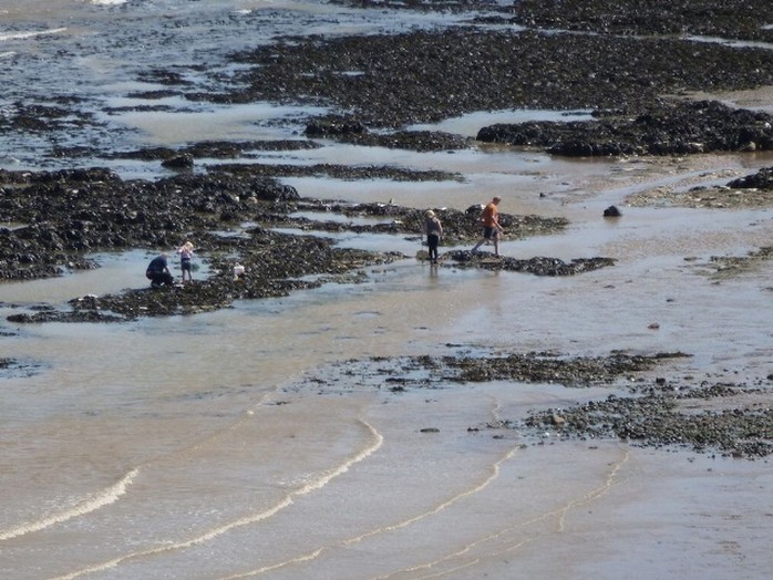 Playing in the rock pools on Kingsdown beach